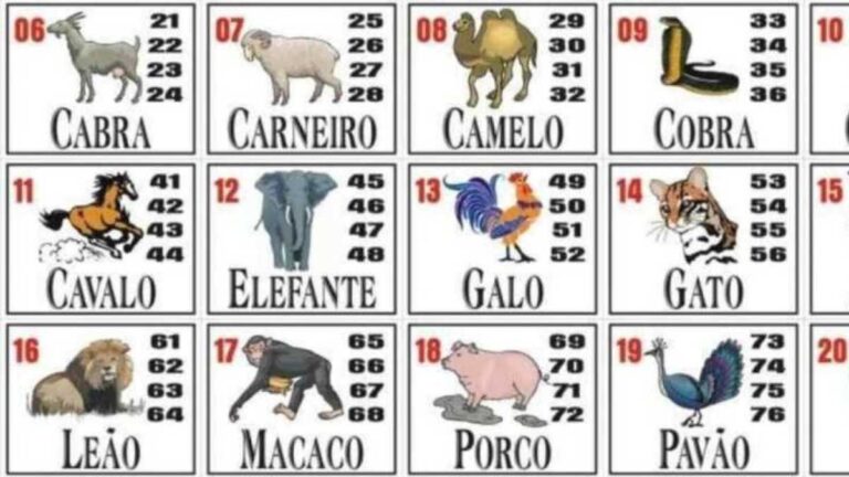 Jogo do Bicho: A Tradição do Jogo Animal no Brasil