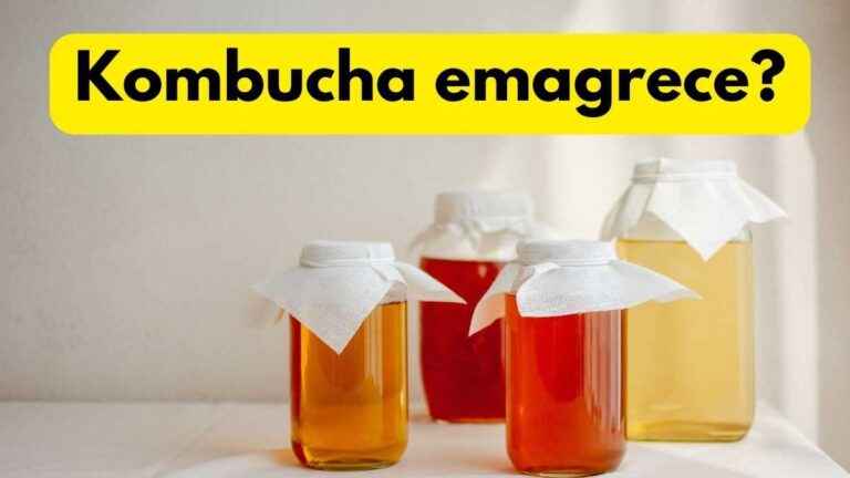 Kombucha emagrece? Descubra os segredos dessa bebida fermentada