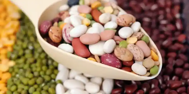 Quem tem insuficiência renal pode comer feijão