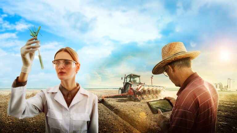 Como é a produção agropecuária no Brasil